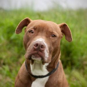 6967_107383916137757_476809578_n