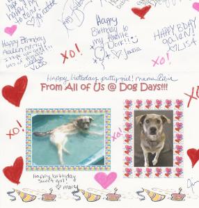 A birthday card from some of Galen's favorite people -- the ladies who play with her at daycare. 